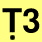 T3